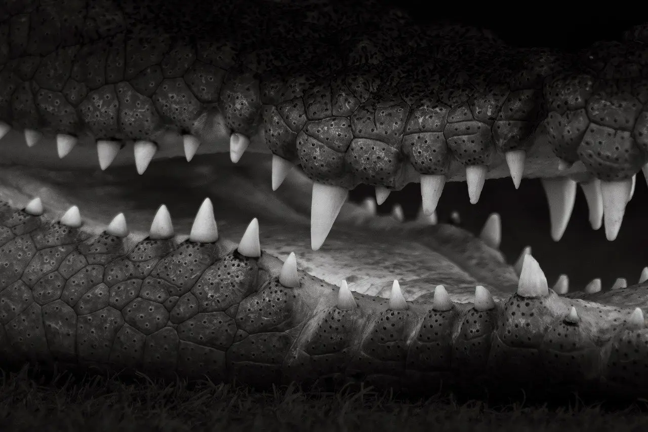 Blodsukkerkontrol: sådan undgår du natlige opvågninger