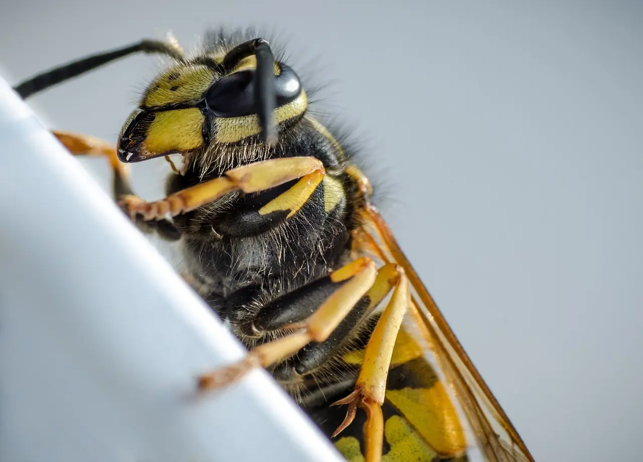 7 allergivenlige pudebetræk, der virker